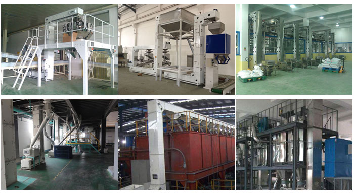 z型斗式提升機食品廠配合包裝機輸送,輸送小麥,碎礦石輸送等現(xiàn)場案例展示。